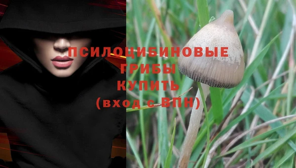 альфа пвп Коряжма