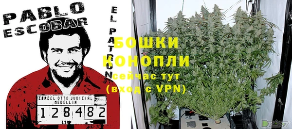 ALPHA PVP Козельск