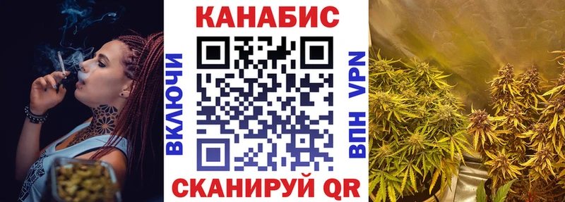 Купить Шарыпово Бошки Шишки планчик